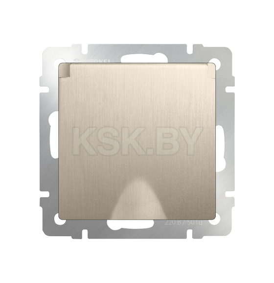 Розетка 1-я с з/к со шторками и крышкой IP44 (шампань рифленый) Werkel WL10-SKGSC-01-IP44/W1171210 (WL10-SKGSC-01-IP44) 