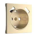 Накладка для розетки USB (шампань) Werkel W1179511 (W1179511)