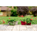 Ящик балконный №2 480х170 мм (капучино) GARDENPLAST 81005 (81005) 