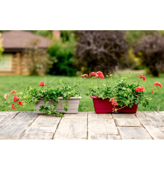 Ящик балконный №2 480х170 мм (капучино) GARDENPLAST 81005 (81005) 