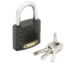 Замок навесной Palladium Ф3 303F-50