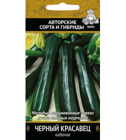 Кабачок Черный красавец(А) (ЦВ) 12шт.