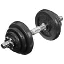 Гантель сборно-разборная 10 кг 578749                            (578749     ) 