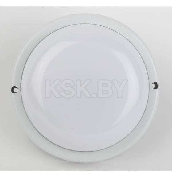 Светильник ЖКХ светодиодный настенно-потолочный IP65 D210мм 18Вт 6500К 1710Лм матовый (ЭРА SPB-201-0-65K-018 ) 