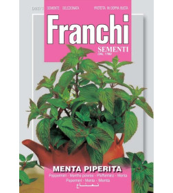 Мята DBOS семена Franchi