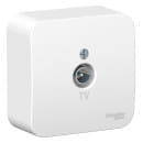 Розетка TV открытой установки белый Schneider Electric Blanka (BLNTA000011) 
