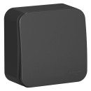 Выключатель 1кл. о/у 10А антрацит Schneider Electric Blanka (BLNVA101016) 