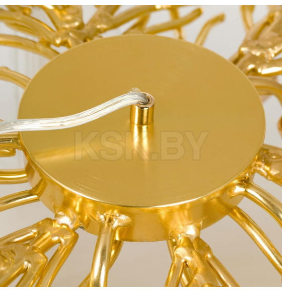Люстра подвесная Lussole LSP-8851 (LSP-8851) 