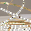 Лента светодиодная ARTE LAMP TAPE A2412005-01-3K (A2412005-01-3K) 