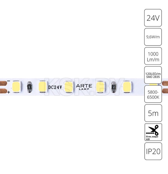 Лента светодиодная ARTE LAMP TAPE A2412005-03-6K (A2412005-03-6K) 