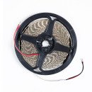 Лента светодиодная ARTE LAMP TAPE A2412008-01-3K (A2412008-01-3K) 