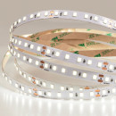 Лента светодиодная ARTE LAMP TAPE A2412008-01-3K (A2412008-01-3K) 