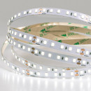 Лента светодиодная ARTE LAMP TAPE A2412008-02-4K (A2412008-02-4K) 