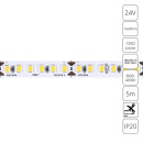 Лента светодиодная ARTE LAMP TAPE A2418008-02-4K (A2418008-02-4K) 
