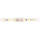 Коннектор для светодиодной ленты ARTE LAMP STRIP-ACCESSORIES A32-05-1CCT (A32-05-1CCT) 