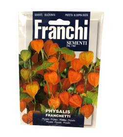 Физалис Франкетти Franchi