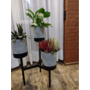 Подставка для цветов Bloomie Stand IKD3L (бетон) Prosperplast IKD3L-422U (IKD3L-422U) 