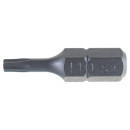 Бита TORX T10х25 мм Ombra 514310 (514310) 