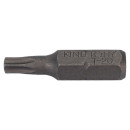 Бита TORX T20х25 мм с отверстием KING TONY 102520U (102520U) 