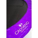 Батут Calviano 252 см (8ft) пружинный с защитной сеткой INSIDE master purple