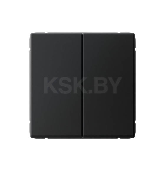 Переключатель 2-клавишный, сх.6/2, 10АХ, механизм GAL001065 Systeme Electric ArtGallery Карбон (GAL001065) 
