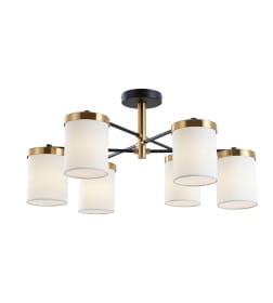 Светильник потолочный ARTE LAMP A4099PL-6BK
