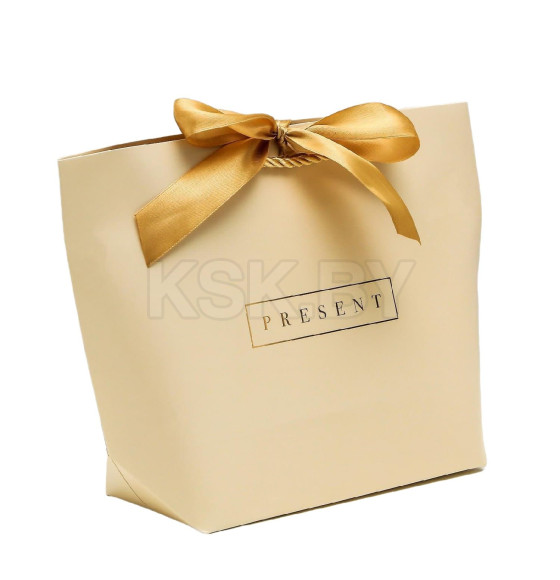 Пакет подарочный Present, 28 х 20 х 9 см (4785003) 