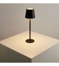 Светильник настольный ARTE LAMP A1614LT-1BK