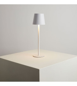 Светильник настольный ARTE LAMP A1614LT-1WH