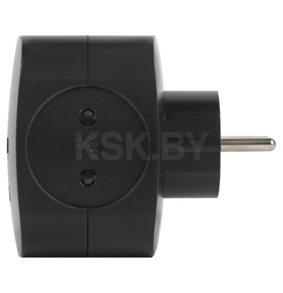 Разветвитель на 4 розетки 220V + 2xUSB 2400mA, без заземления 10А (черный) Эра SP-4-USB-B (SP-4-USB-B) 