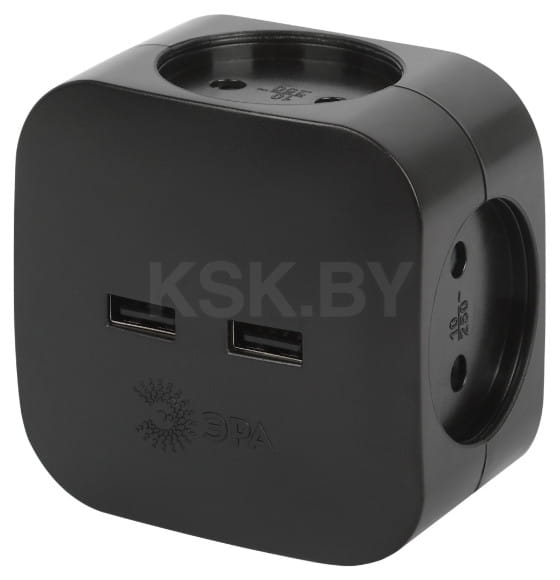 Разветвитель на 4 розетки 220V + 2xUSB 2400mA, без заземления 10А (черный) Эра SP-4-USB-B (SP-4-USB-B) 