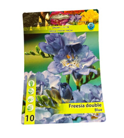 Фрезия Double Blauw 10шт/уп р.5/+
