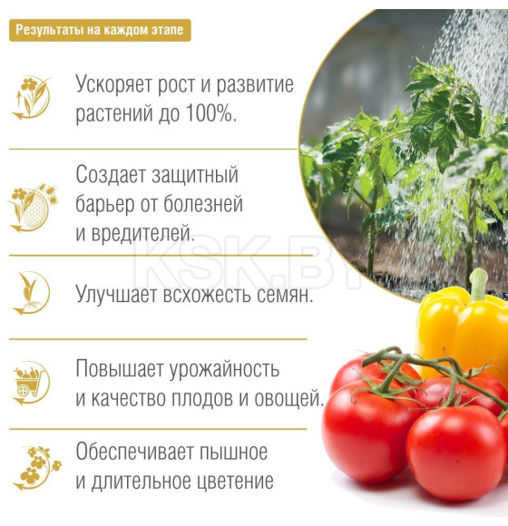 Био-стимулятор роста натуральный Bona Forte 100 мл