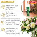 Блеск для листьев, аэрозоль Bona Forte 500 мл