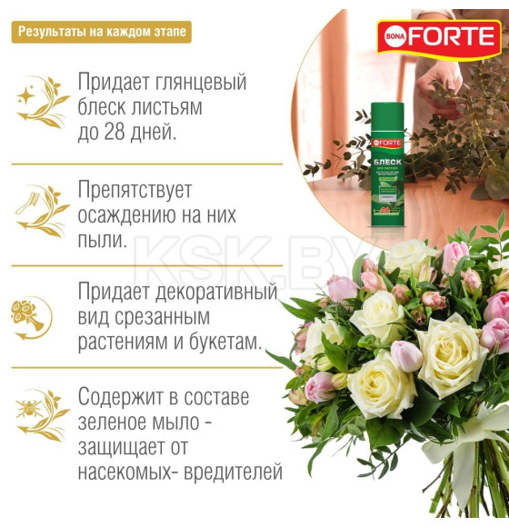 Блеск для листьев, аэрозоль Bona Forte 500 мл