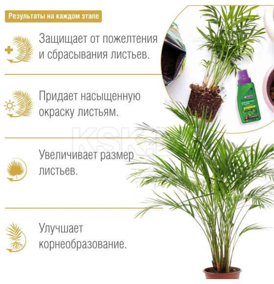 Удобрение для фикусов и пальм Bona Forte Здоровье 285 мл