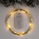 Гирлянда декоративная светящаяся "Rosa" 5 м 50 лампочек (MT.RS.IP20.BT.03.04.1.03) (работает от батареек) Теплый белый (MT.RS.IP20.BT.03.04.1.03) 