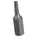 Бита T-TORX T10Hх25 мм (1/4