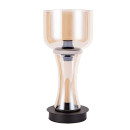 Светильник настольный Divinare 1243/17 TL-15 (1243/17 TL-15) 