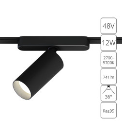 Светильник потолочный ARTE LAMP A2958PL-1BK