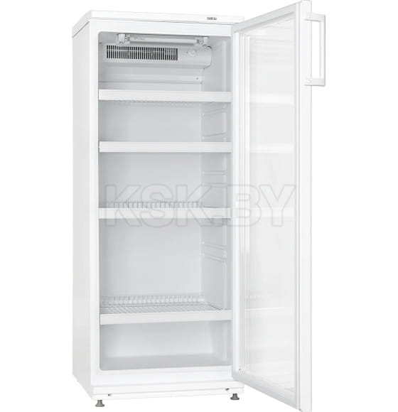 Холодильник торговый ATLANT ХТ 1003 (475860) 