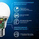 Лампа Gauss A60 12W 1200lm 6500K E27 LED 1/10/50 (102502312) 