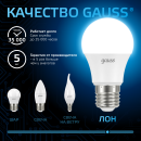 Лампа Gauss A60 10W 920lm 6500K E27 LED 1/10/50 (102502310) 