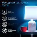 Лампа Gauss A60 12W 1200lm 6500K E27 LED 1/10/50 (102502312) 