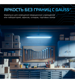 Лампа Gauss MR16 5W 530lm 6500K GU5.3 LED 