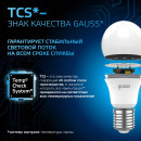 Лампа Gauss A60 10W 920lm 6500K E27 LED 1/10/50 (102502310) 