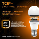 Лампа Gauss A60 12W 1150lm 3000K E27 LED 1/10/50 (102502112) 