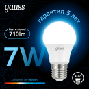 Лампа Gauss A60 7W 710lm 6500K E27 LED 1/10/50 (102502307) 