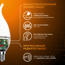 Лампа светодиодная свеча на ветру Е14 6.5W 520lm 3000K Gauss 104101107 (104101107) 