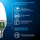 Лампа светодиодная свеча Е14 6.5W 550lm 6500К Gauss 103101307 (103101307) 